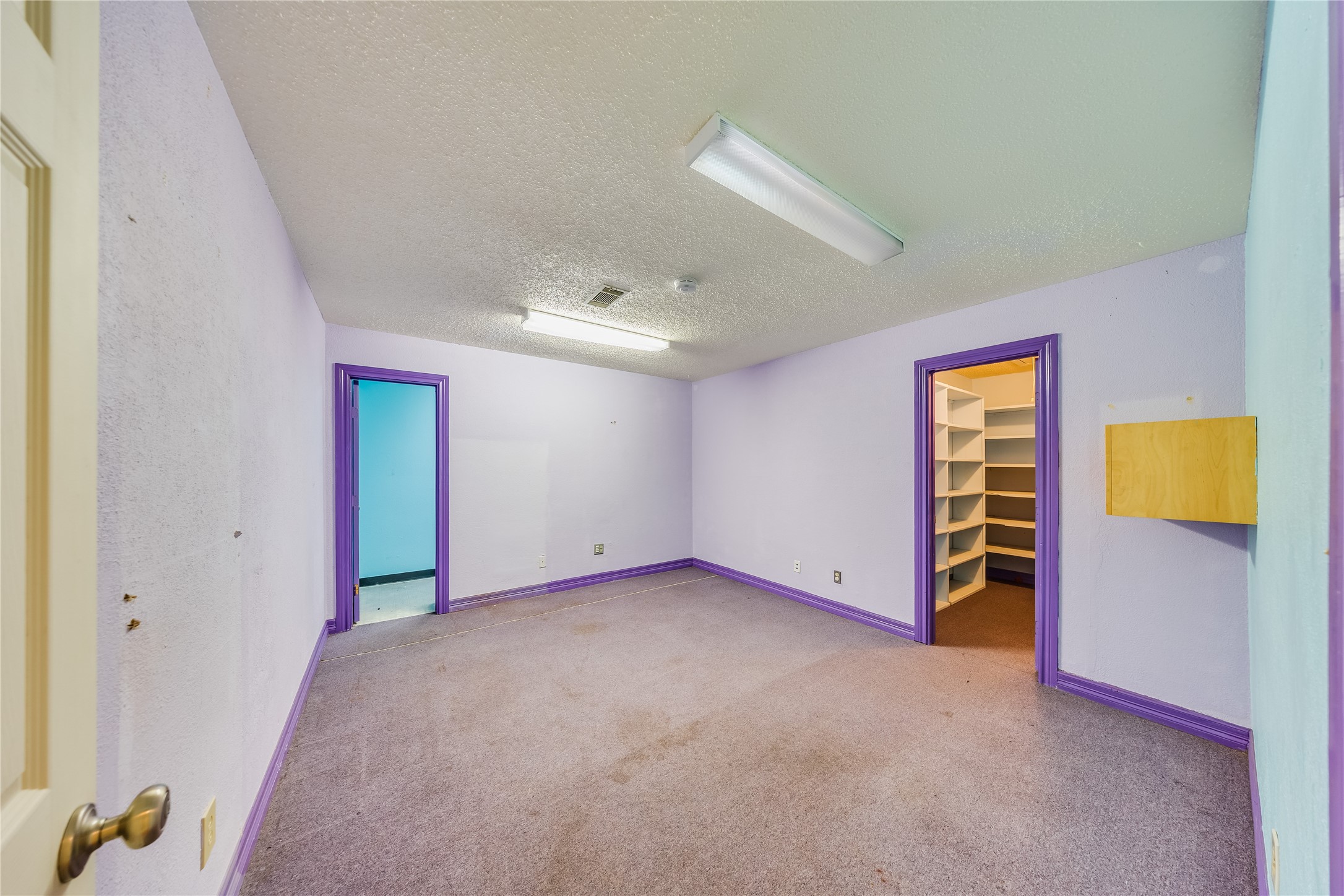 4227 Old Chocolate Bayou Road Manvel, TX 77578 - Photo 38 of 45 an empty room with closet and mirror