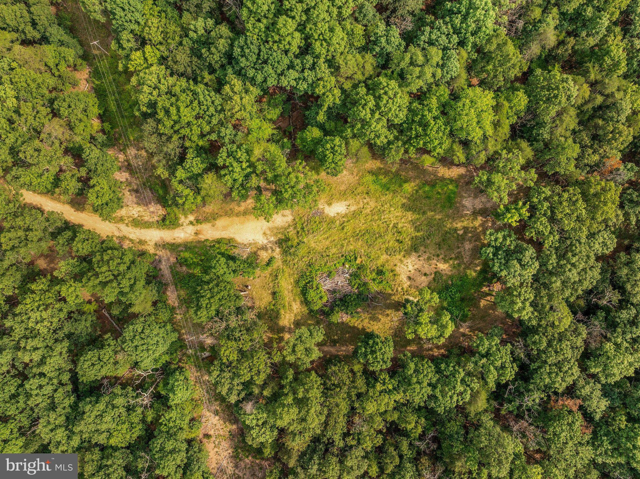 Apprentice Way Gerrardstown, WV 25420 - Photo 17 of 21 DJI_20260812161904_0089_D_Lot 29 Section 1 12.59 a