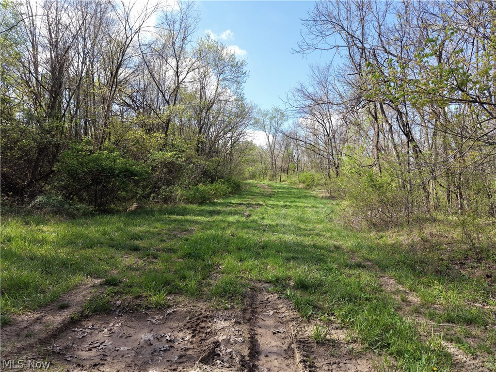 0 Harrons Ridge Road Dexter City, OH 45727 - Photo 16 of 29
