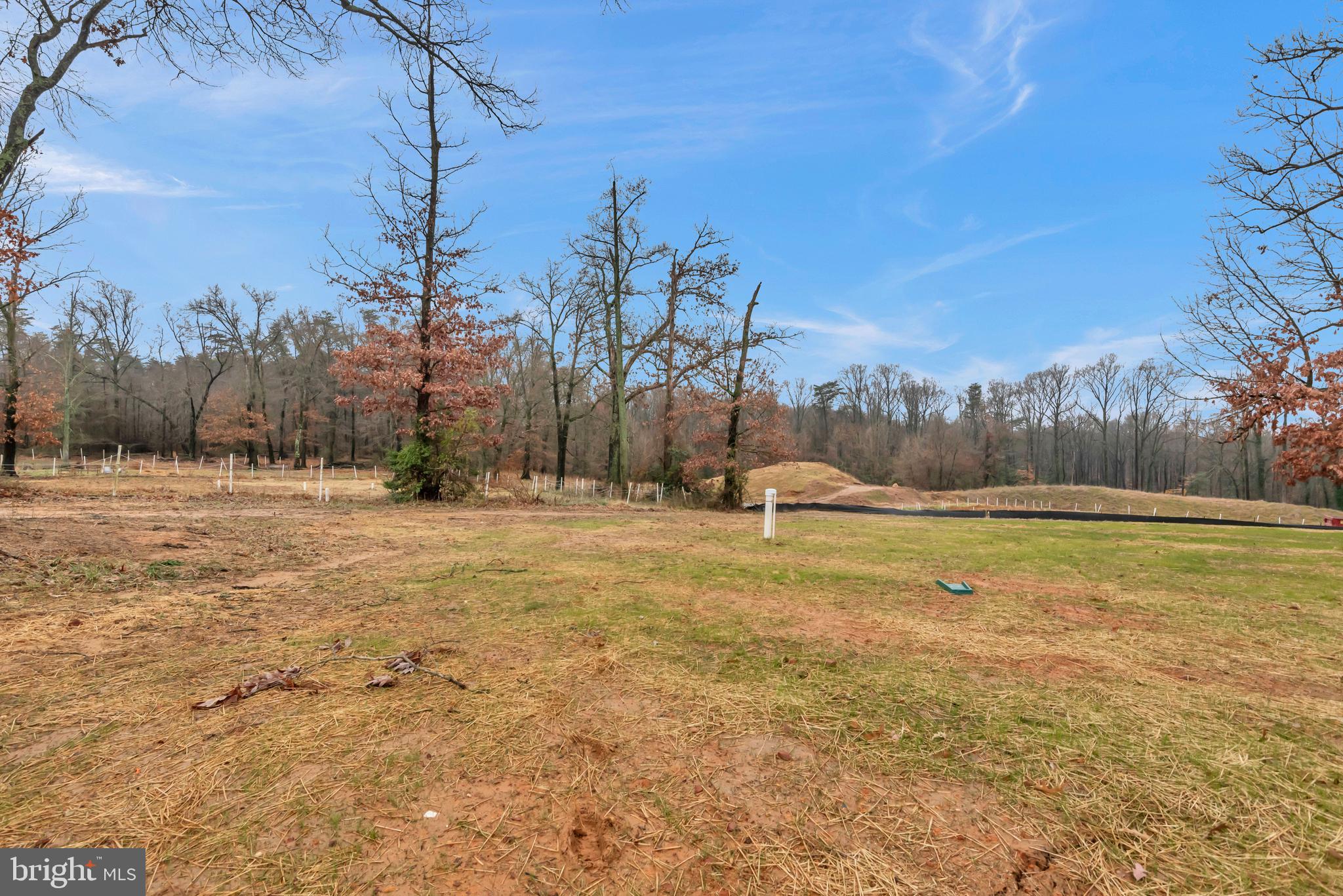 1333 German Driveway Hanover, MD 21076 - Photo 53 of 56 a view of large trees with a yard