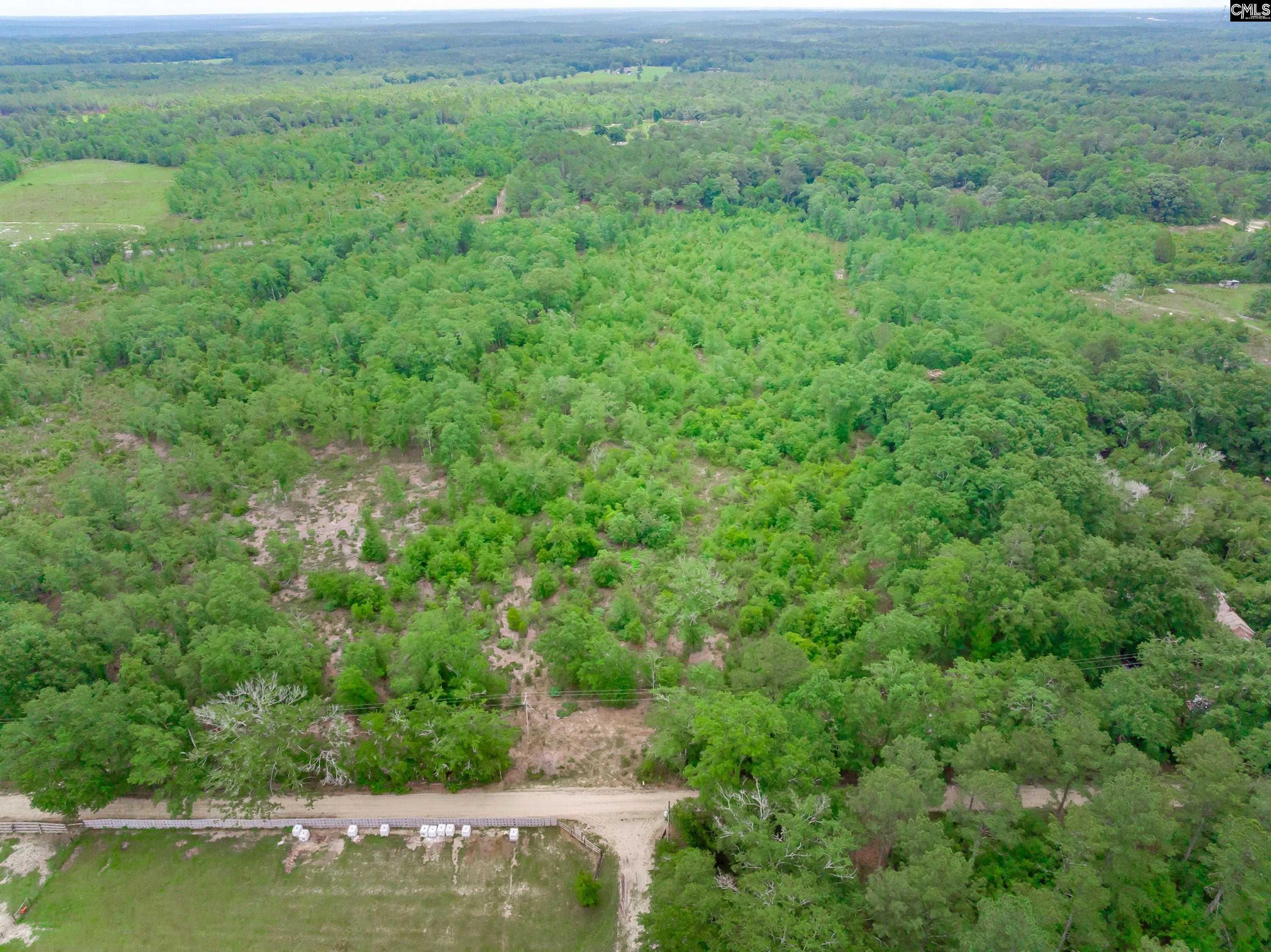 0 Seivern Road Wagener, SC 29164 - Photo 17 of 23
