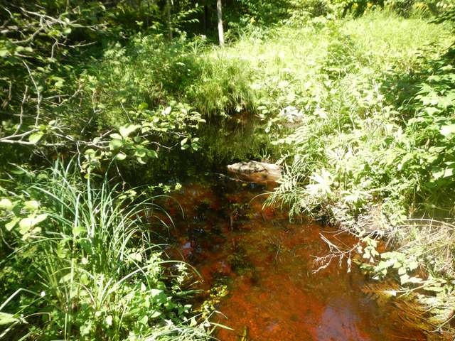 W2632 Goetzke Road Prentice, WI 54556 - Photo 18 of 18 Gallery Image 18