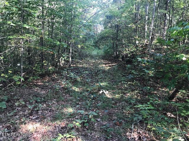 Rob Watson Road Oneida, TN 37841 - Photo 11 of 28 IMG_9638