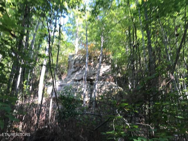 Rob Watson Road Oneida, TN 37841 - Photo 14 of 28 IMG_9670