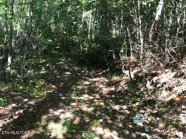 Rob Watson Road Oneida, TN 37841 - Photo 15 of 28 IMG_9665