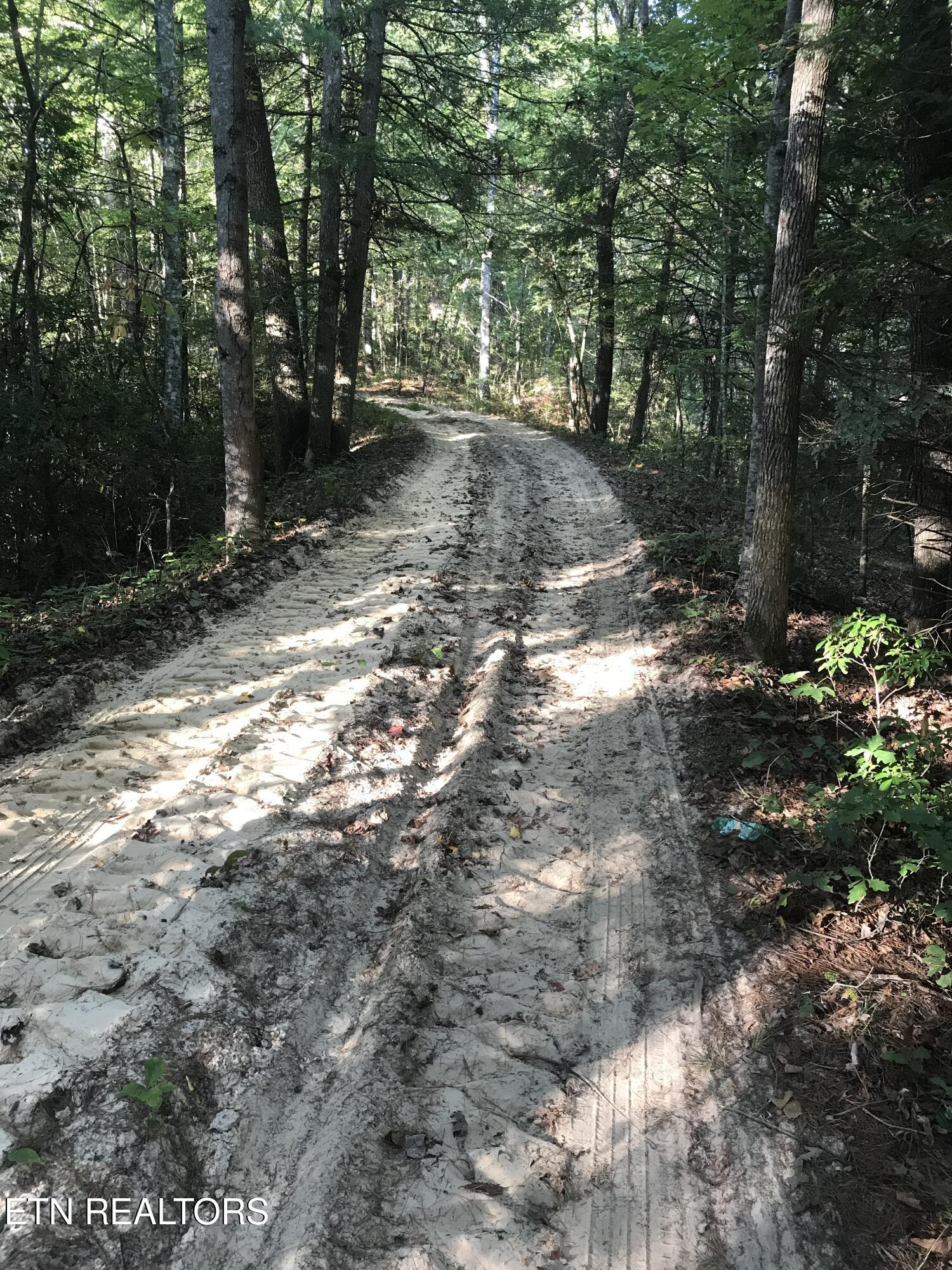 Rob Watson Road Oneida, TN 37841 - Photo 18 of 28 Rob Watson Rd 004