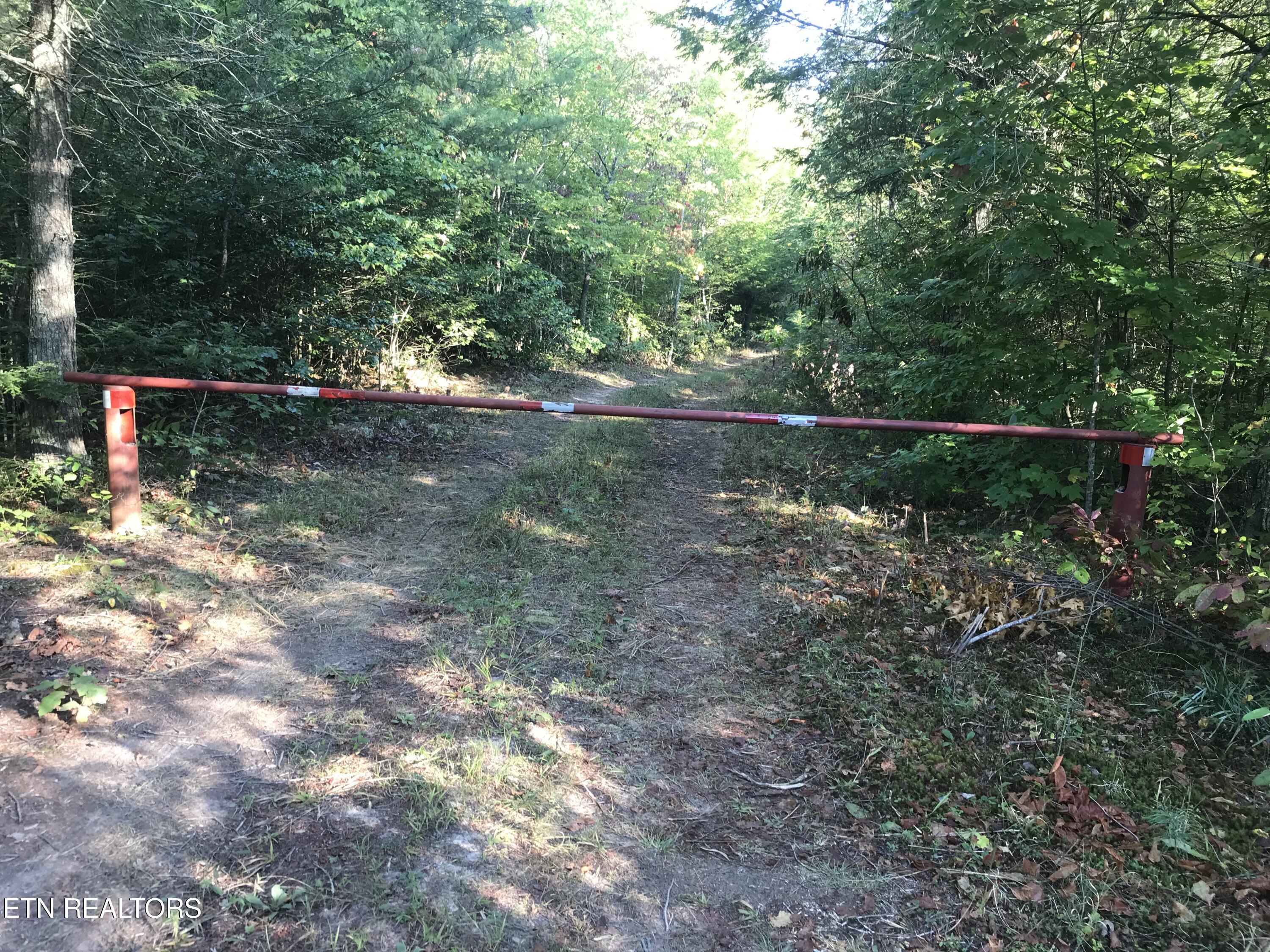 Rob Watson Road Oneida, TN 37841 - Photo 19 of 28 Rob Watson Rd 005