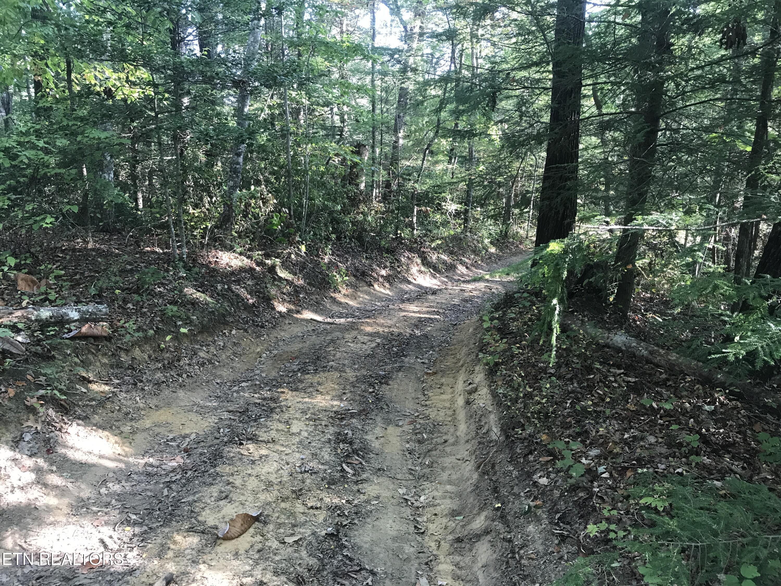 Rob Watson Road Oneida, TN 37841 - Photo 20 of 28 Rob Watson Rd 006