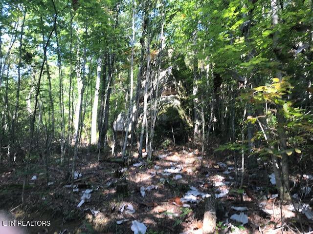 Rob Watson Road Oneida, TN 37841 - Photo 2 of 28 IMG_9668