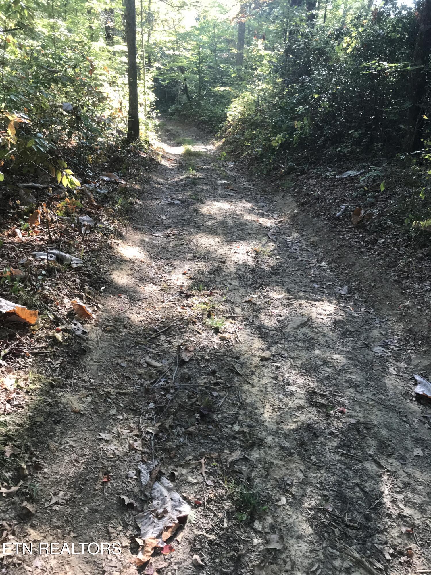 Rob Watson Road Oneida, TN 37841 - Photo 21 of 28 Rob Watson Rd 007