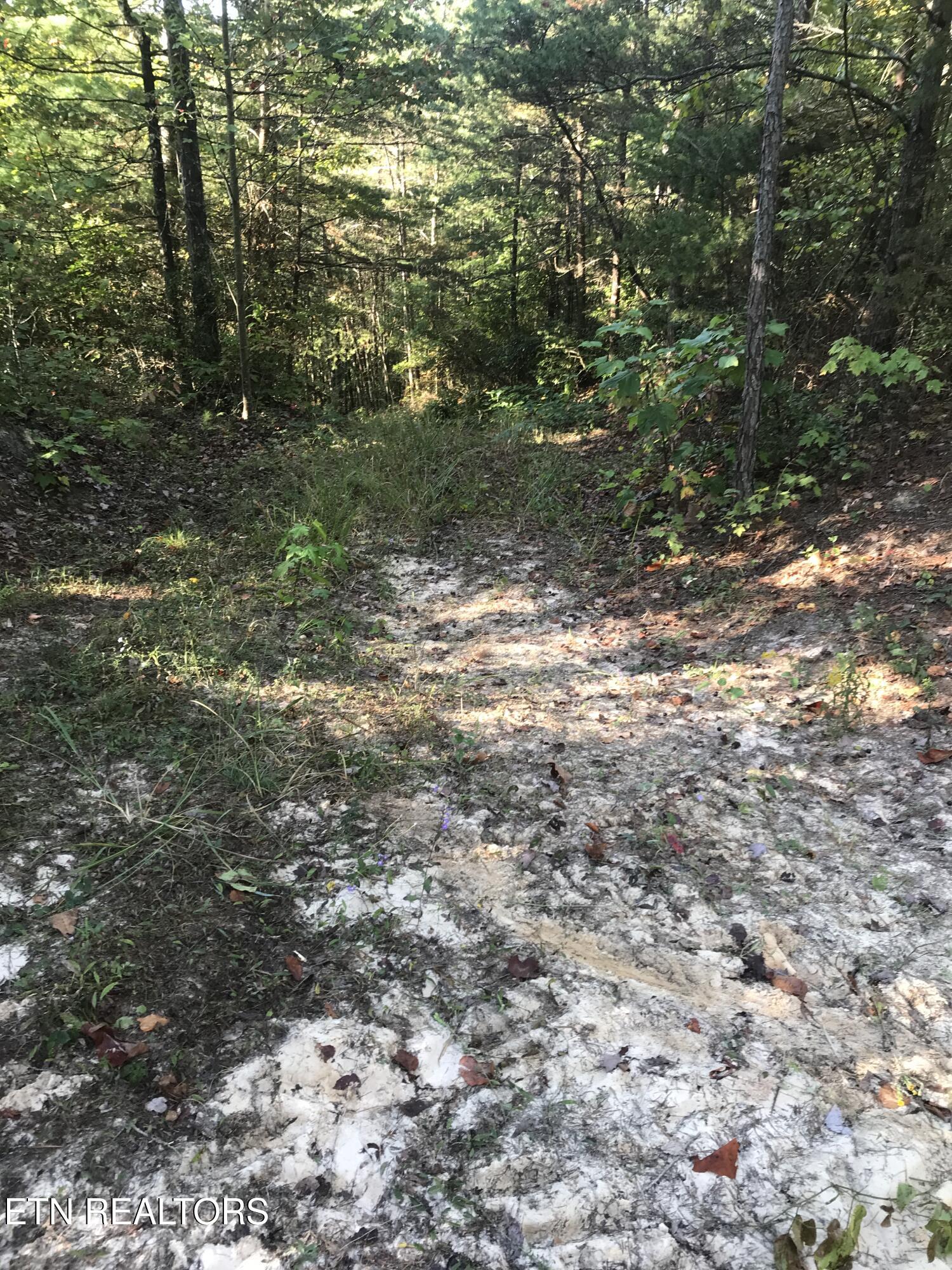 Rob Watson Road Oneida, TN 37841 - Photo 22 of 28 Rob Watson Rd 008