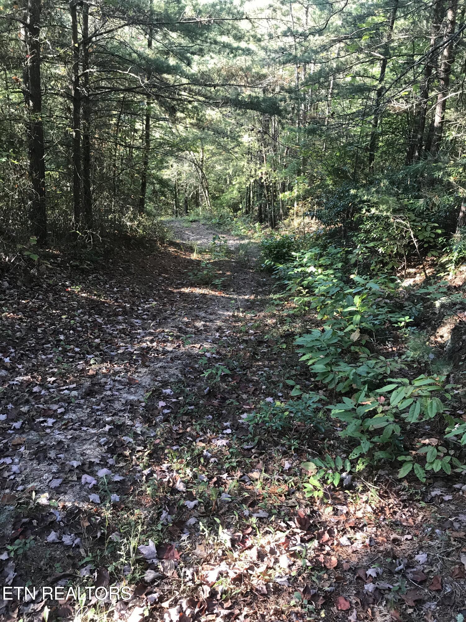 Rob Watson Road Oneida, TN 37841 - Photo 23 of 28 Rob Watson Rd 009