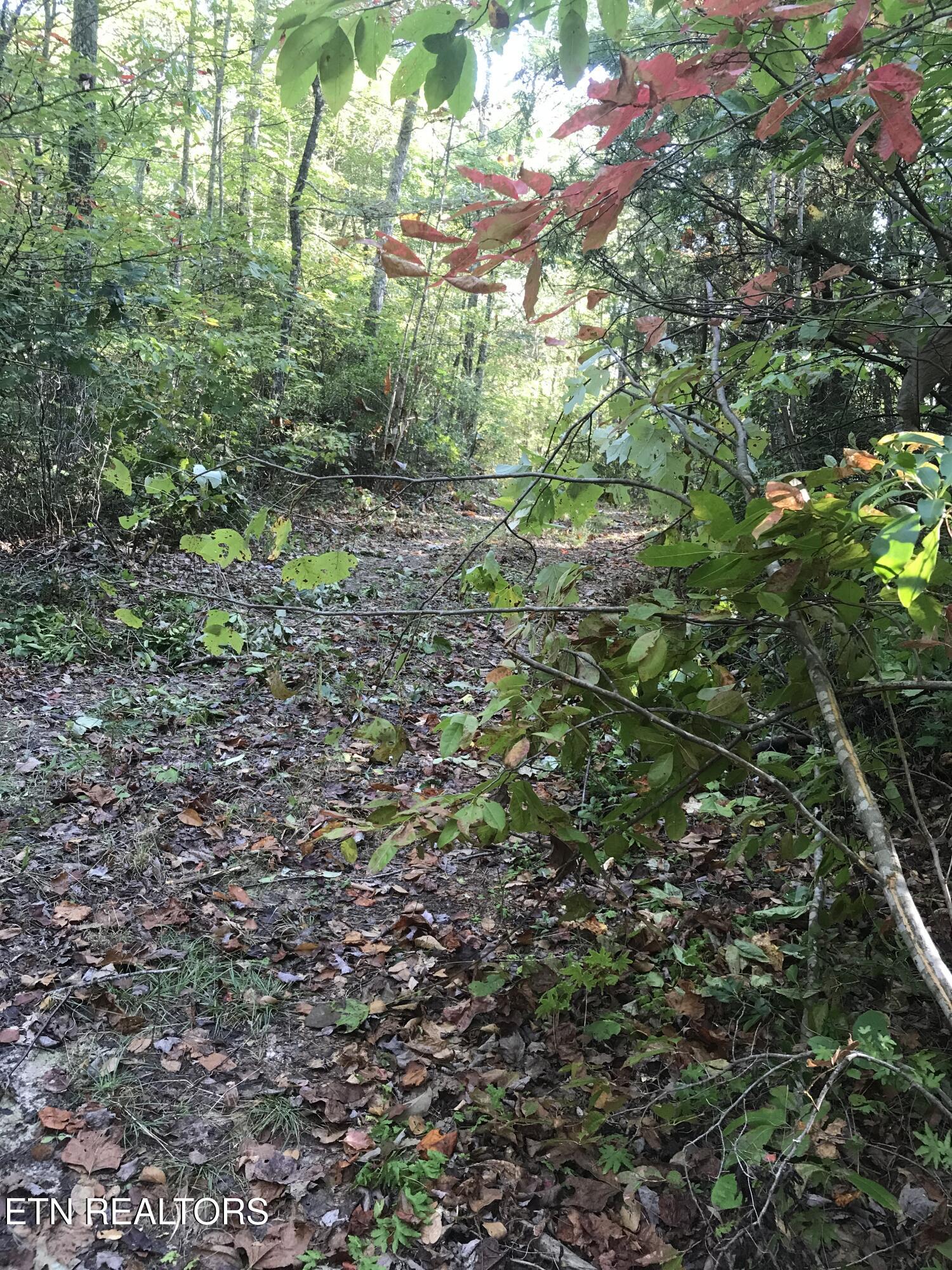 Rob Watson Road Oneida, TN 37841 - Photo 24 of 28 Rob Watson Rd 010