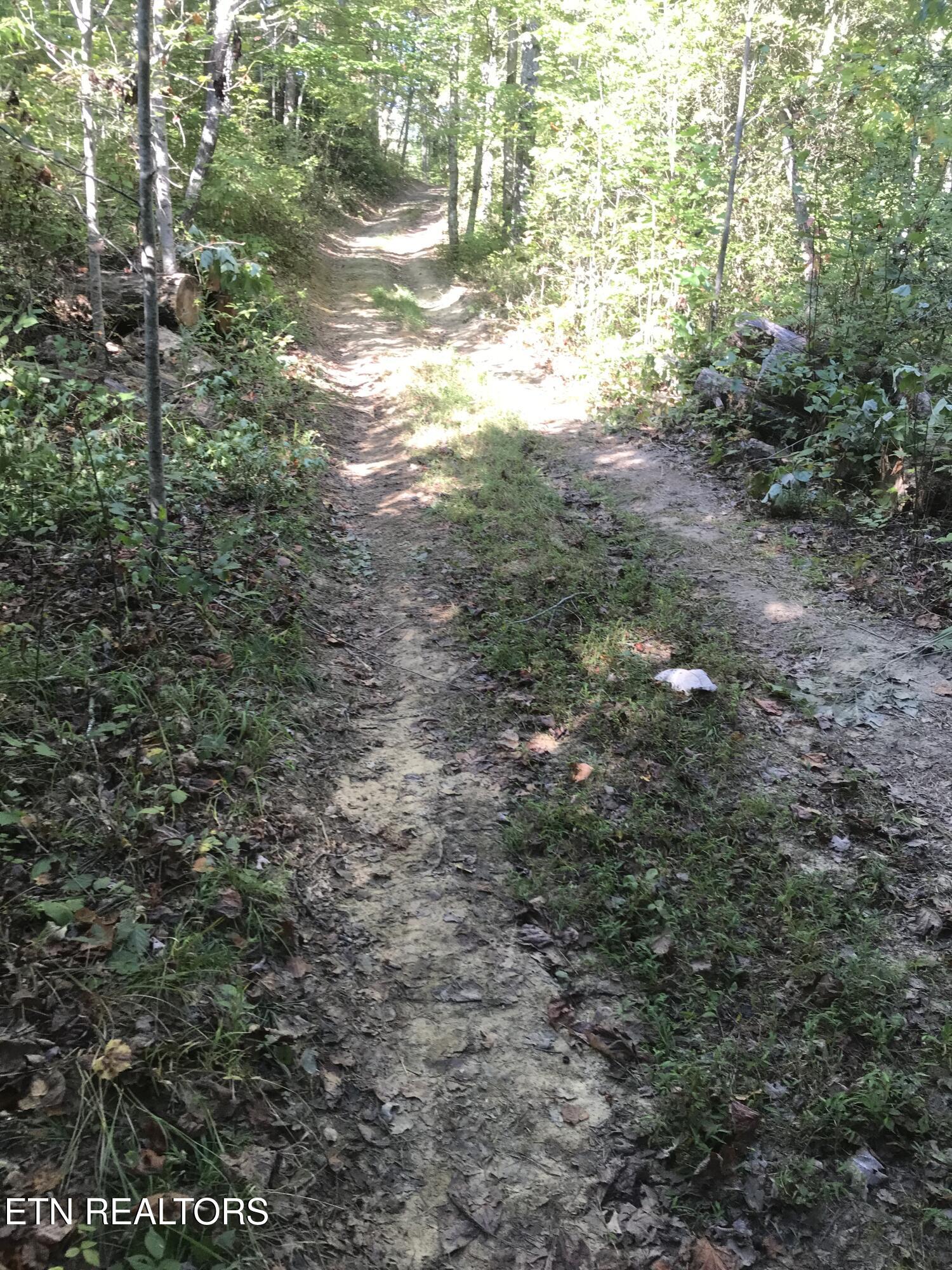 Rob Watson Road Oneida, TN 37841 - Photo 27 of 28 Rob Watson Rd 013