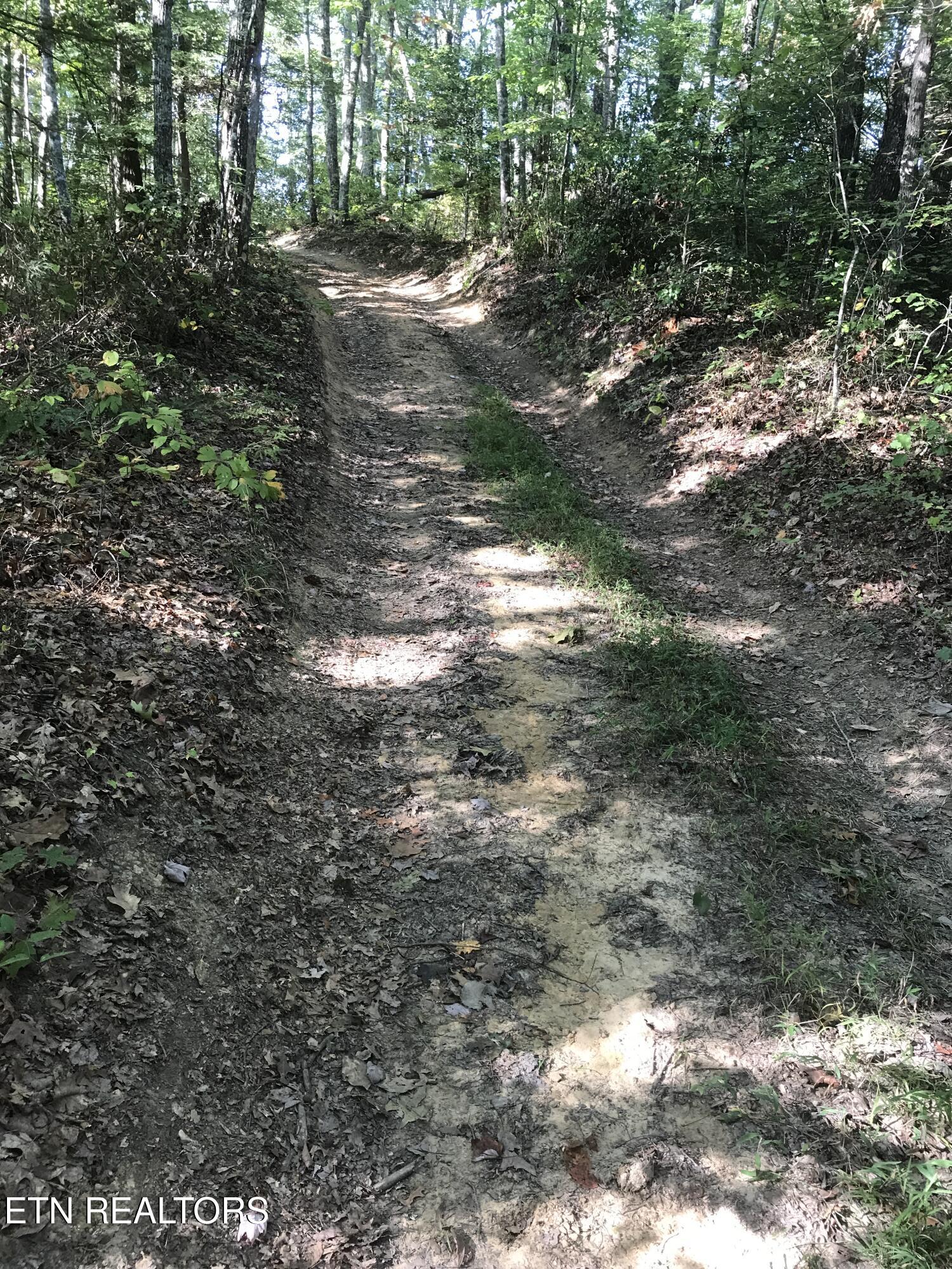 Rob Watson Road Oneida, TN 37841 - Photo 28 of 28 Rob Watson Rd 014