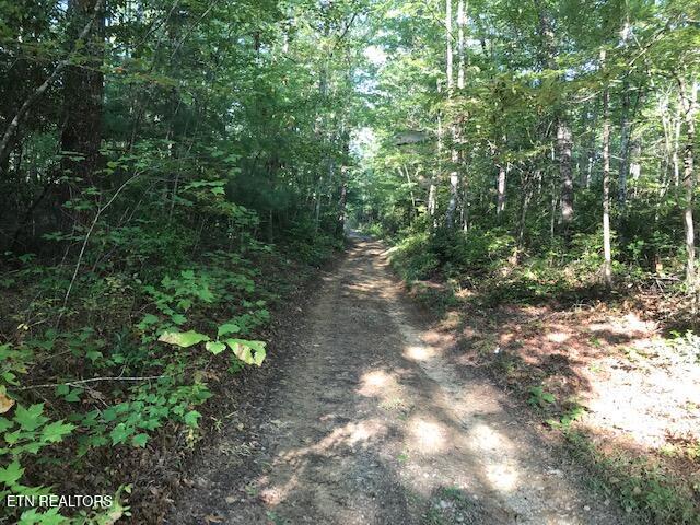 Rob Watson Road Oneida, TN 37841 - Photo 4 of 28 IMG_9627