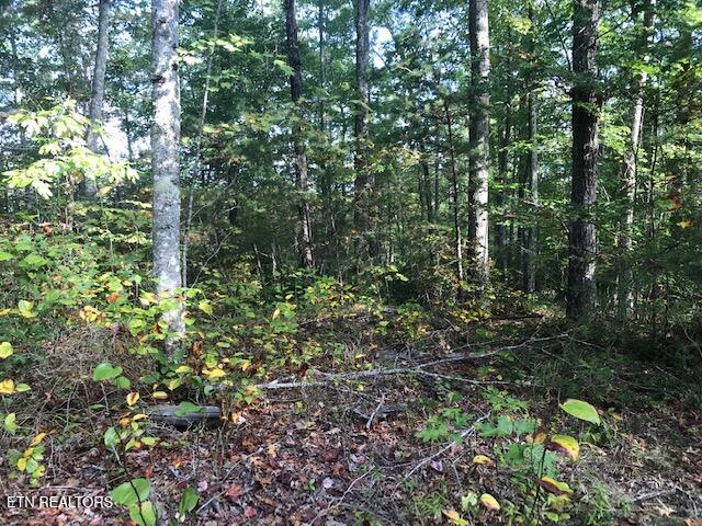 Rob Watson Road Oneida, TN 37841 - Photo 5 of 28 IMG_9632