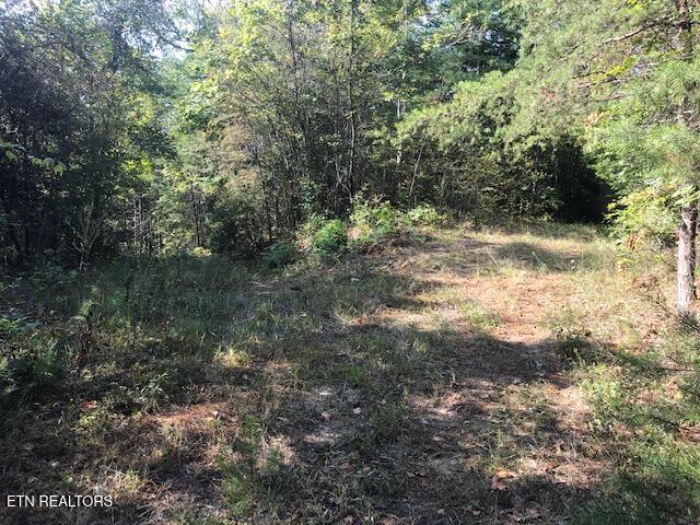 Rob Watson Road Oneida, TN 37841 - Photo 6 of 28 IMG_9633