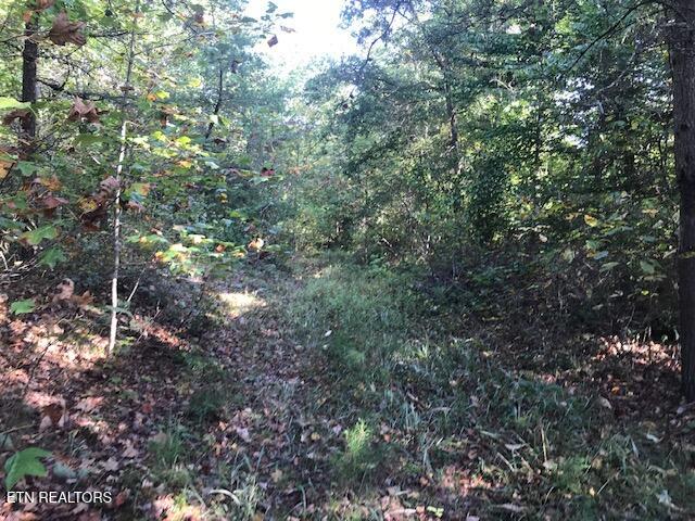 Rob Watson Road Oneida, TN 37841 - Photo 7 of 28 IMG_9634