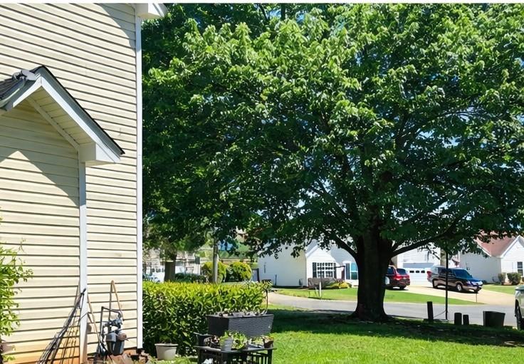225 Lee Court Canton, GA 30115 - Photo 2 of 18 a green field with trees in front of it