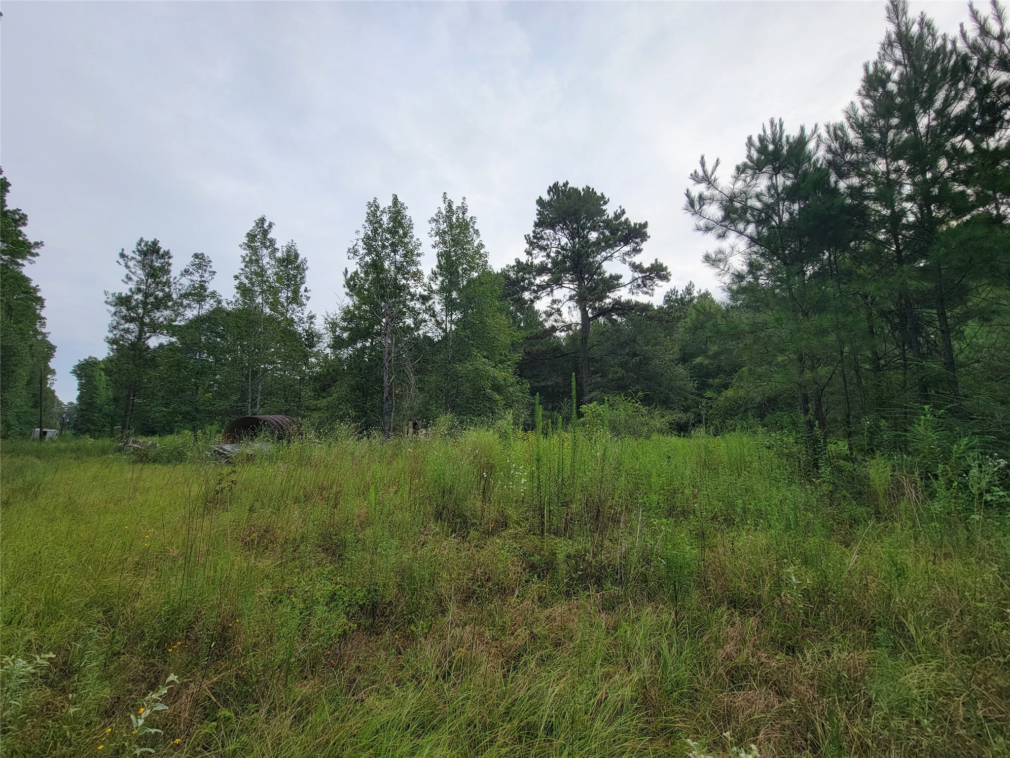 a view of a lush green forest with lots of trees