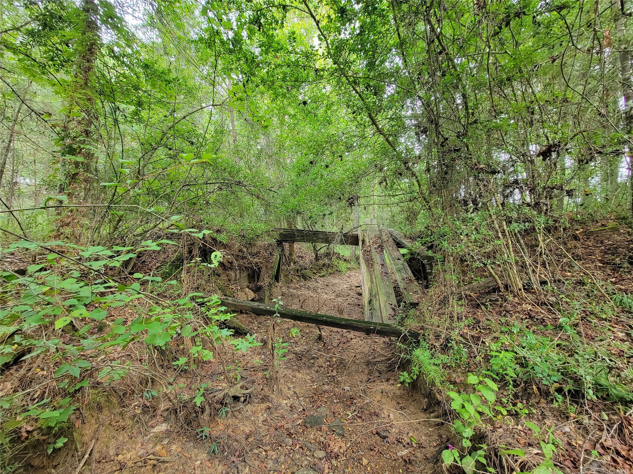 20122 Meadow Lake Road Cleveland, TX 77328 - Photo 13 of 49 a backyard of a house with a yard and seating area