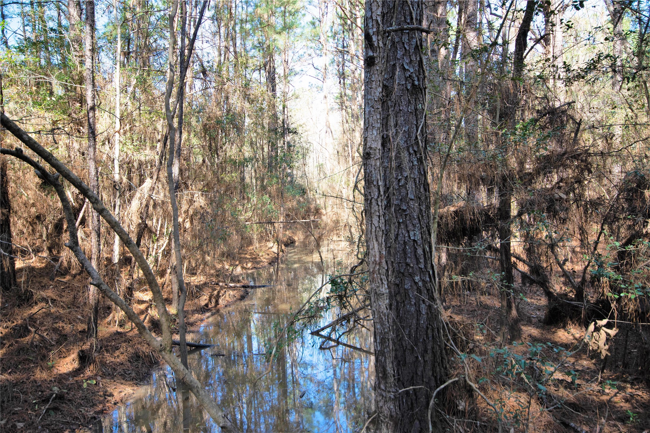 20122 Meadow Lake Road Cleveland, TX 77328 - Photo 19 of 49