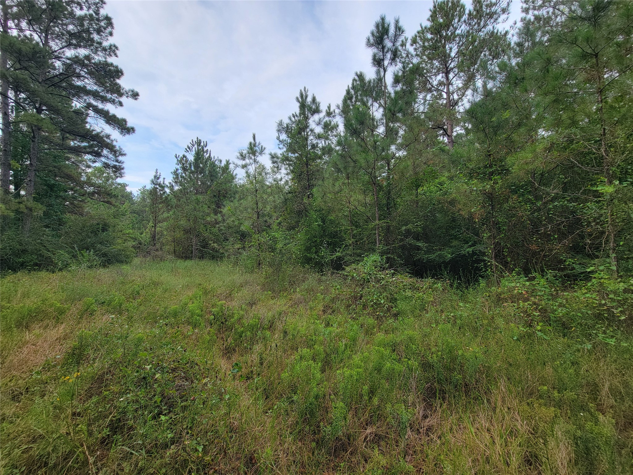 20122 Meadow Lake Road Cleveland, TX 77328 - Photo 26 of 49