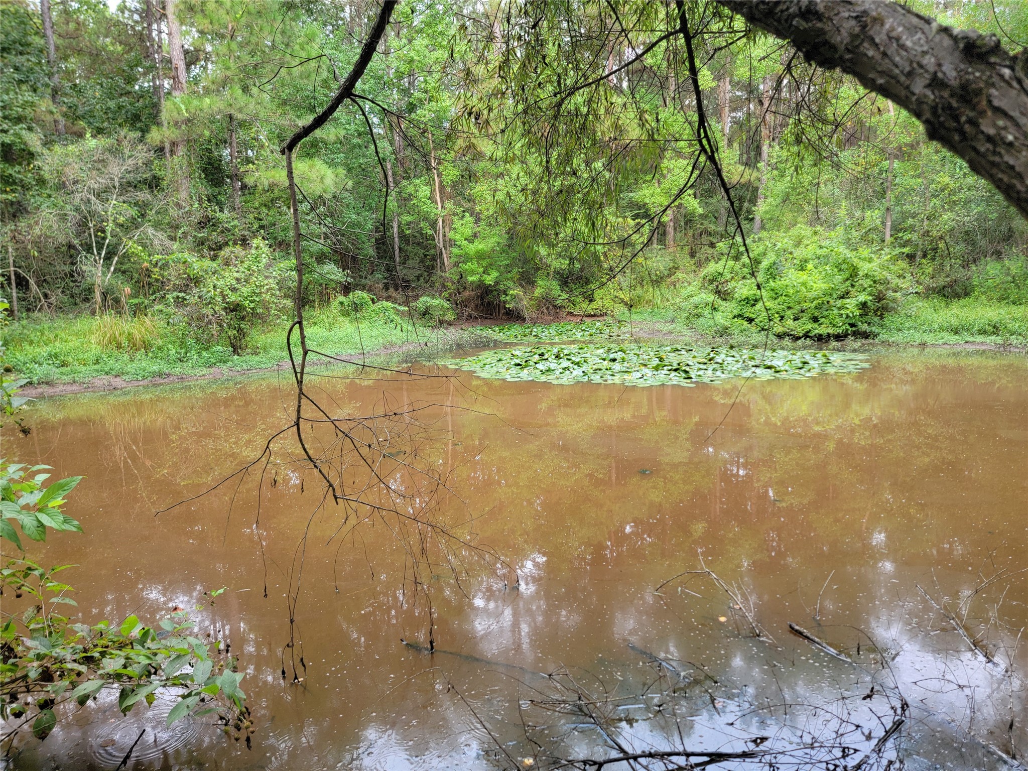 20122 Meadow Lake Road Cleveland, TX 77328 - Photo 32 of 49 a view of a street view
