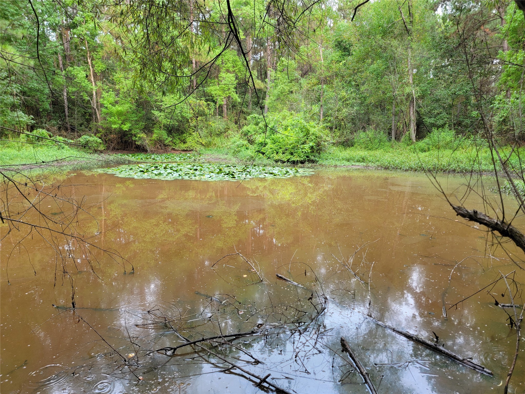 20122 Meadow Lake Road Cleveland, TX 77328 - Photo 33 of 49 a view of a yard