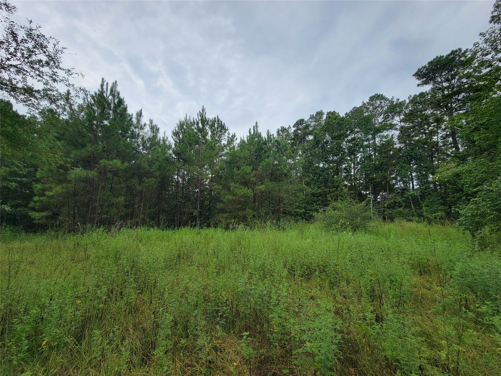 20122 Meadow Lake Road Cleveland, TX 77328 - Photo 43 of 49 a view of a lush green outdoor space with a lake view
