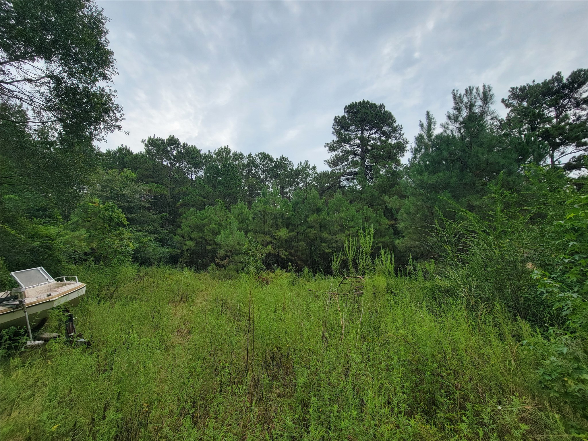20122 Meadow Lake Road Cleveland, TX 77328 - Photo 46 of 49 a view of a big yard with a tree