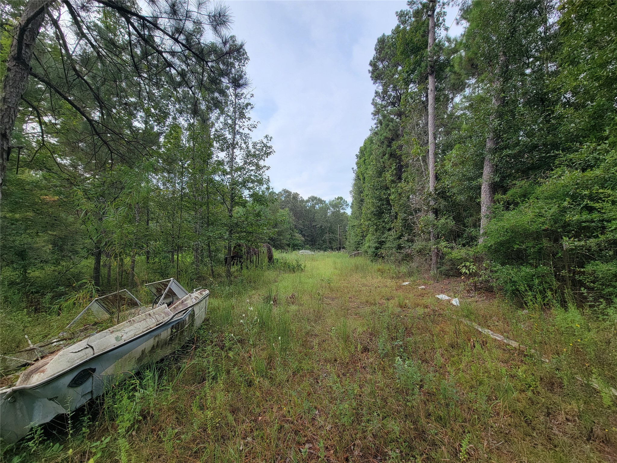 20122 Meadow Lake Road Cleveland, TX 77328 - Photo 5 of 49 a view of a lush green forest with lots of trees