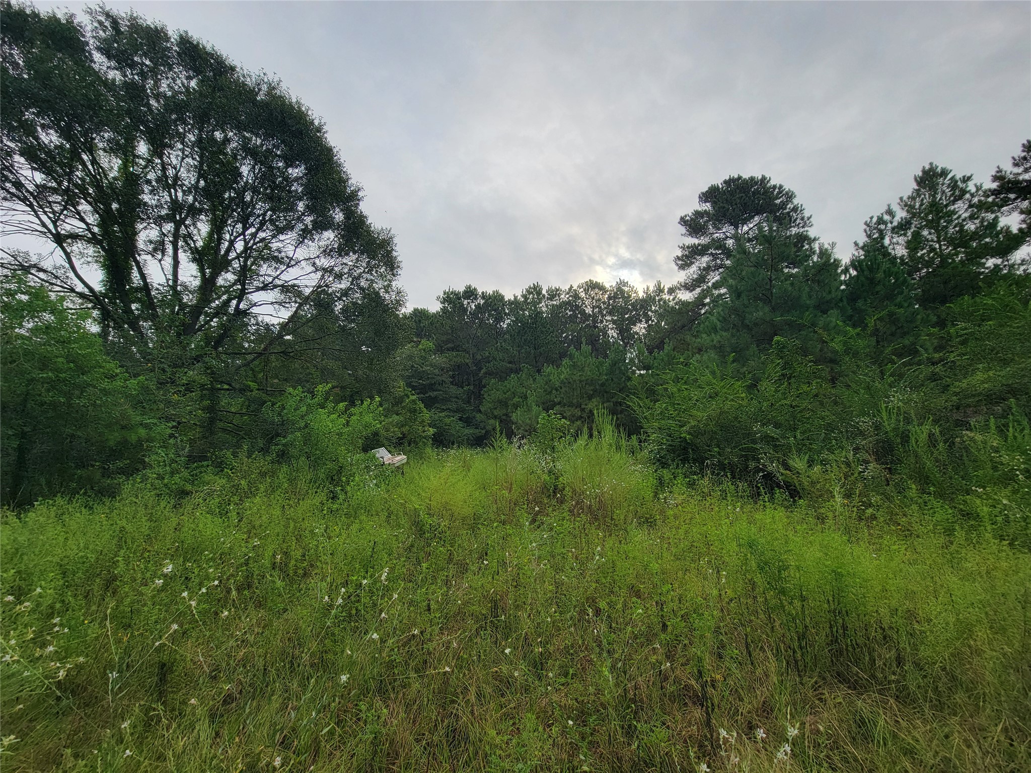 20122 Meadow Lake Road Cleveland, TX 77328 - Photo 6 of 49 a view of a lush green space