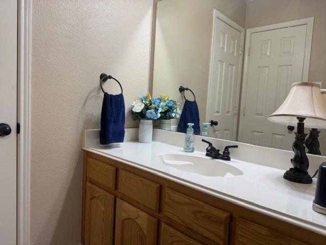 3005 Chaha Road Rowlett, TX 75088 - Photo 19 of 27 a bathroom with a sink and a mirror