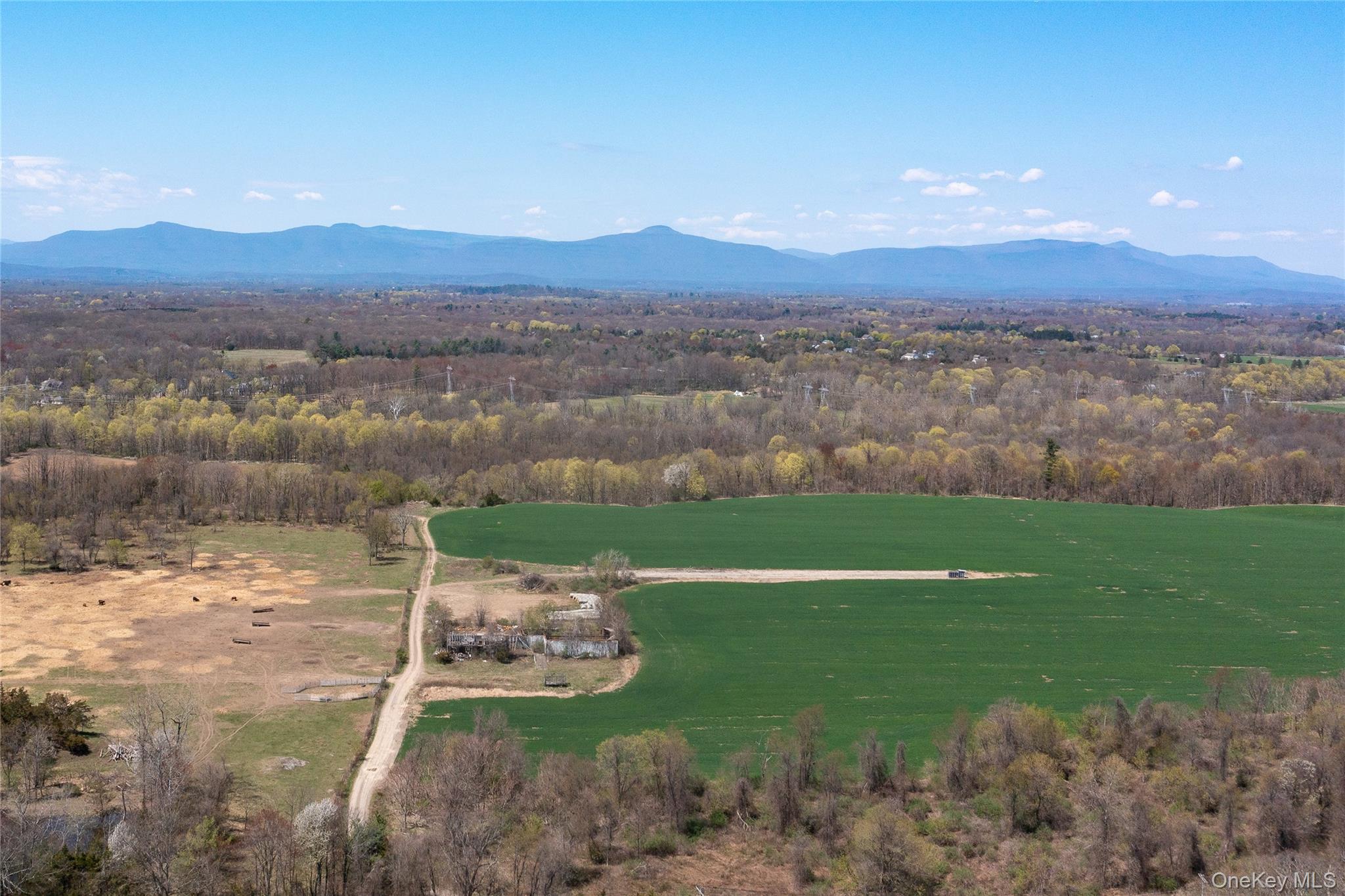 19 County Road Elizaville, NY 12523 - Photo 14 of 25 a view of a lake with a mountain in the background