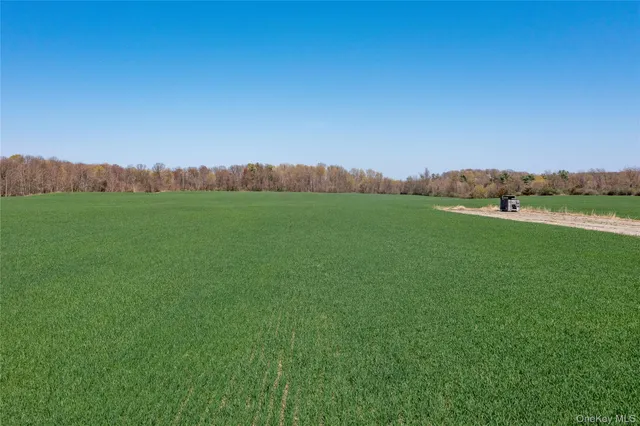 a view of a grassy area with mountains and a houses
