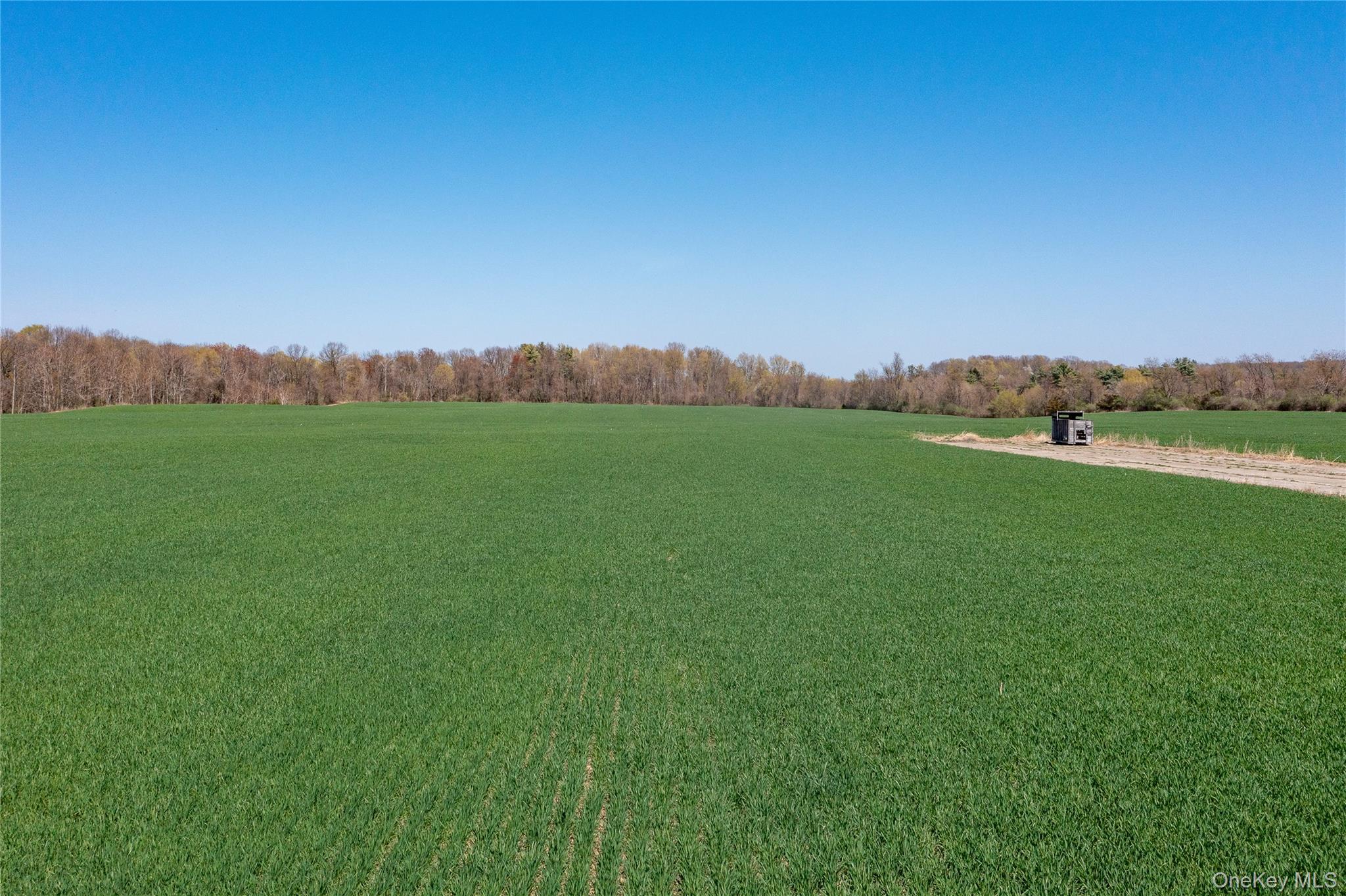 19 County Road Elizaville, NY 12523 - Photo 19 of 25 a view of a field with outside area