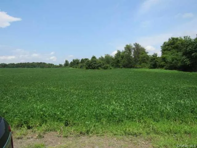 a view of a field of grass and trees