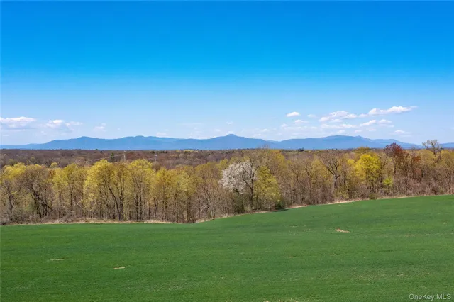 a view of a backyard of a house