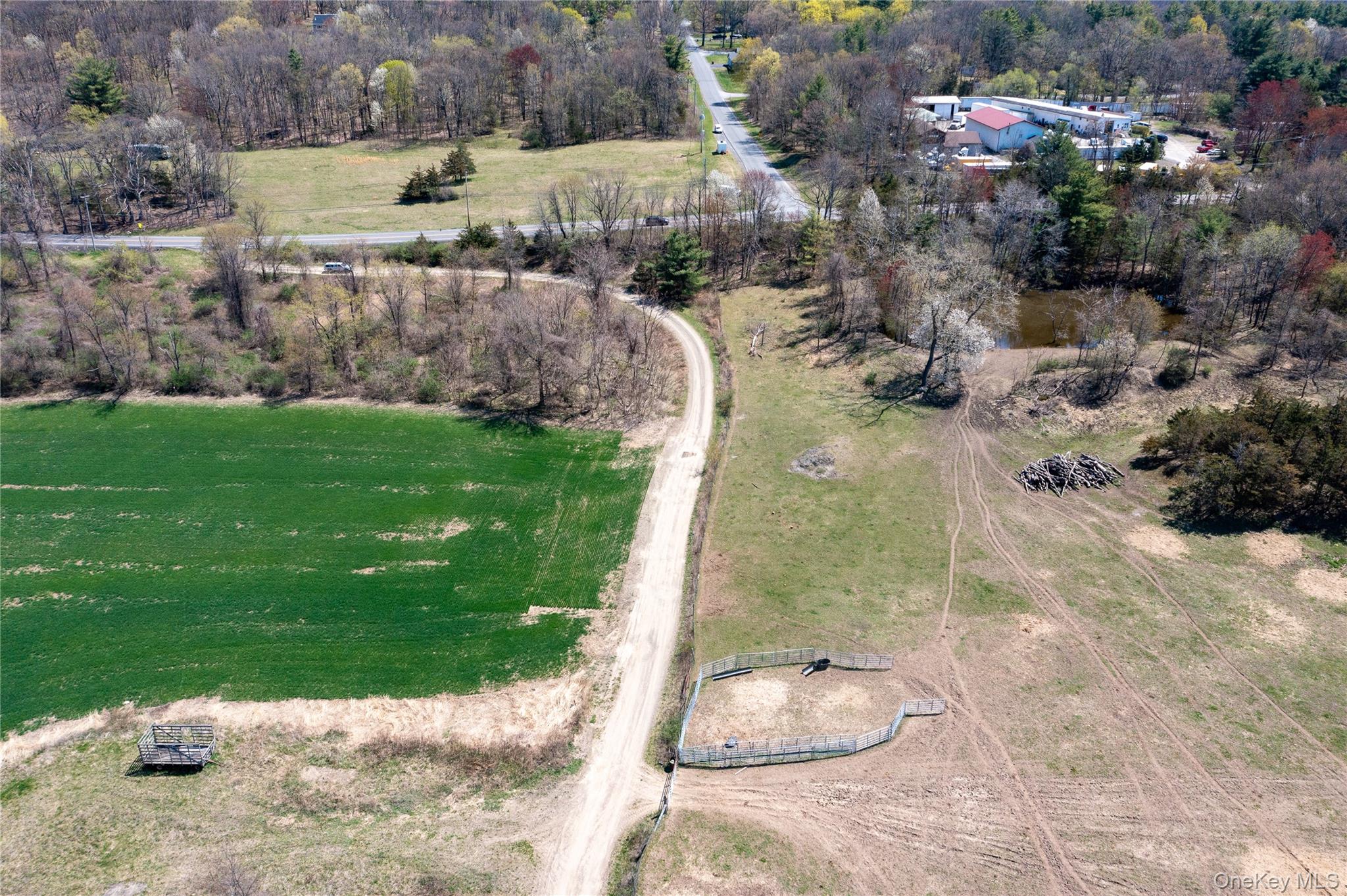 19 County Road Elizaville, NY 12523 - Photo 23 of 25 a view of a backyard