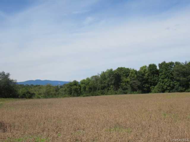 19 County Road Elizaville, NY 12523 - Photo 3 of 25 a view of a field and trees in the background