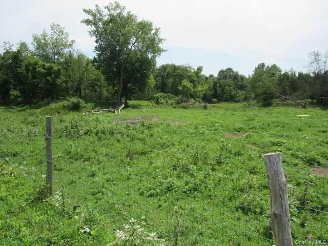 a view of a green field with lots of bushes