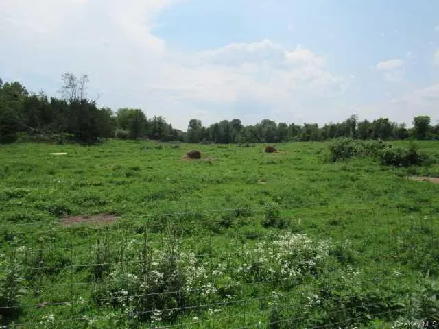 a view of a field of grass and trees