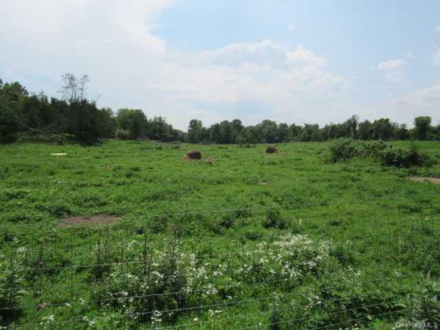 19 County Road Elizaville, NY 12523 - Photo 5 of 25 a view of a field of grass and trees