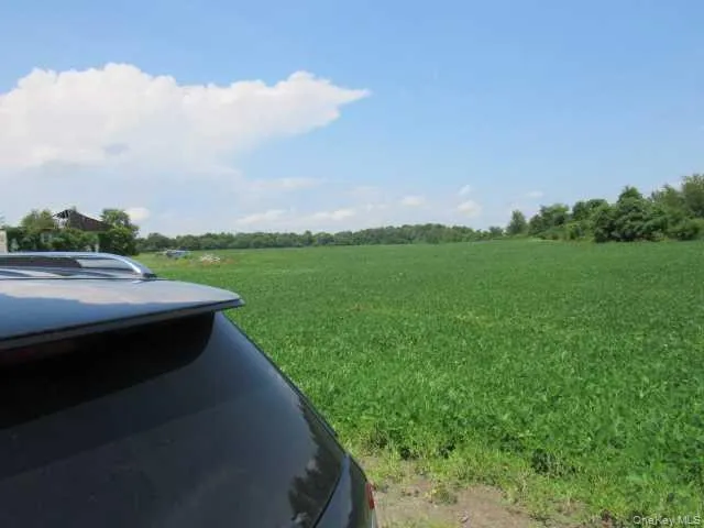 a view of a yard with wooden fence