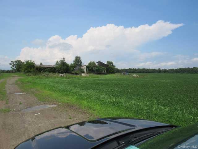 19 County Road Elizaville, NY 12523 - Photo 7 of 25 a view of a field of grass and trees