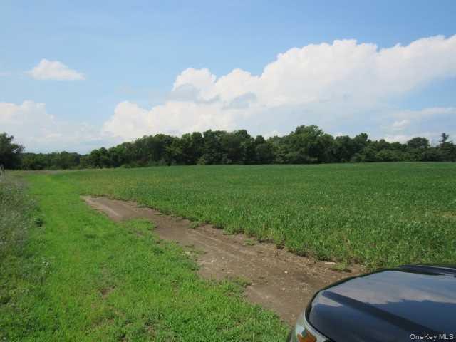 19 County Road Elizaville, NY 12523 - Photo 8 of 25 a view of a golf course with a garden