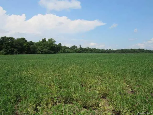 a view of an outdoor space and a yard