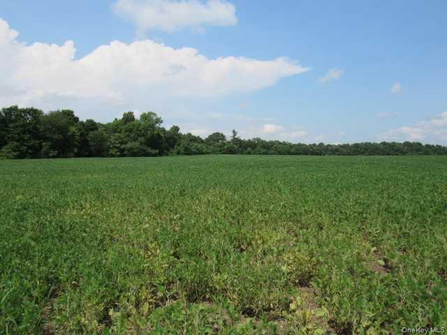 19 County Road Elizaville, NY 12523 - Photo 9 of 25 a view of an outdoor space and a yard
